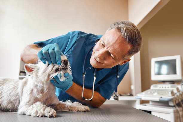 Best Pediatric Emergency Dentist in Carnegie, OK